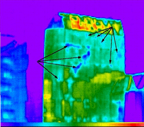 energylosw.gif