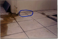 roofw2.gif